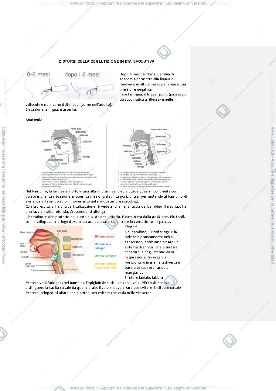 Anteprima pagina 4 — DISTURBI DELLA DEGLUTIZIONE IN ETA’ EVOLUTIVA