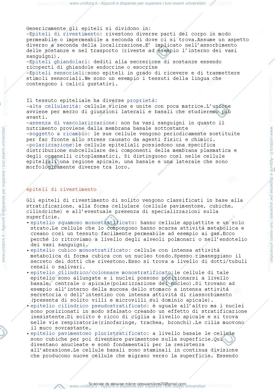Anteprima pagina 3 — Istologia 