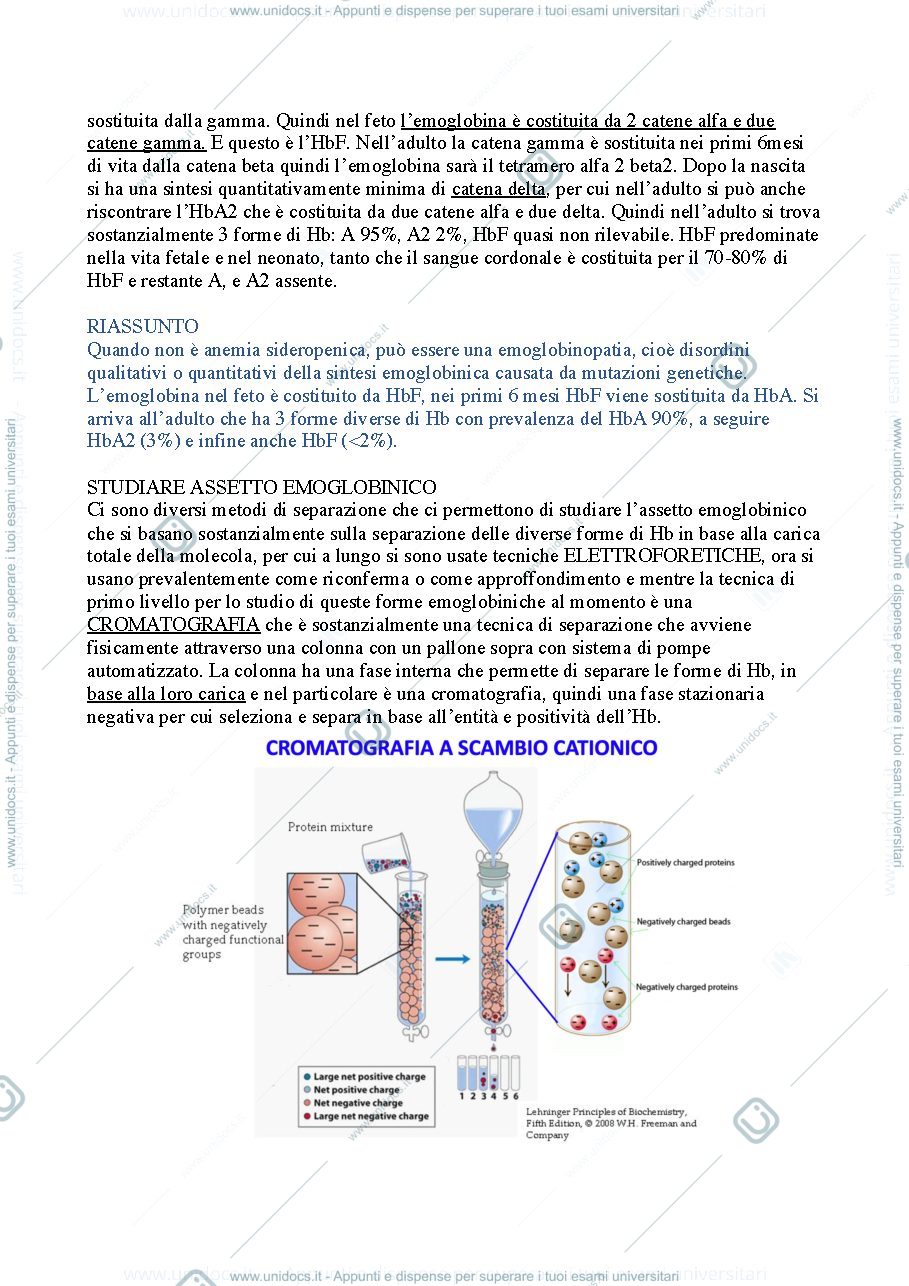 Anteprima pagina 2 — Franzini 2