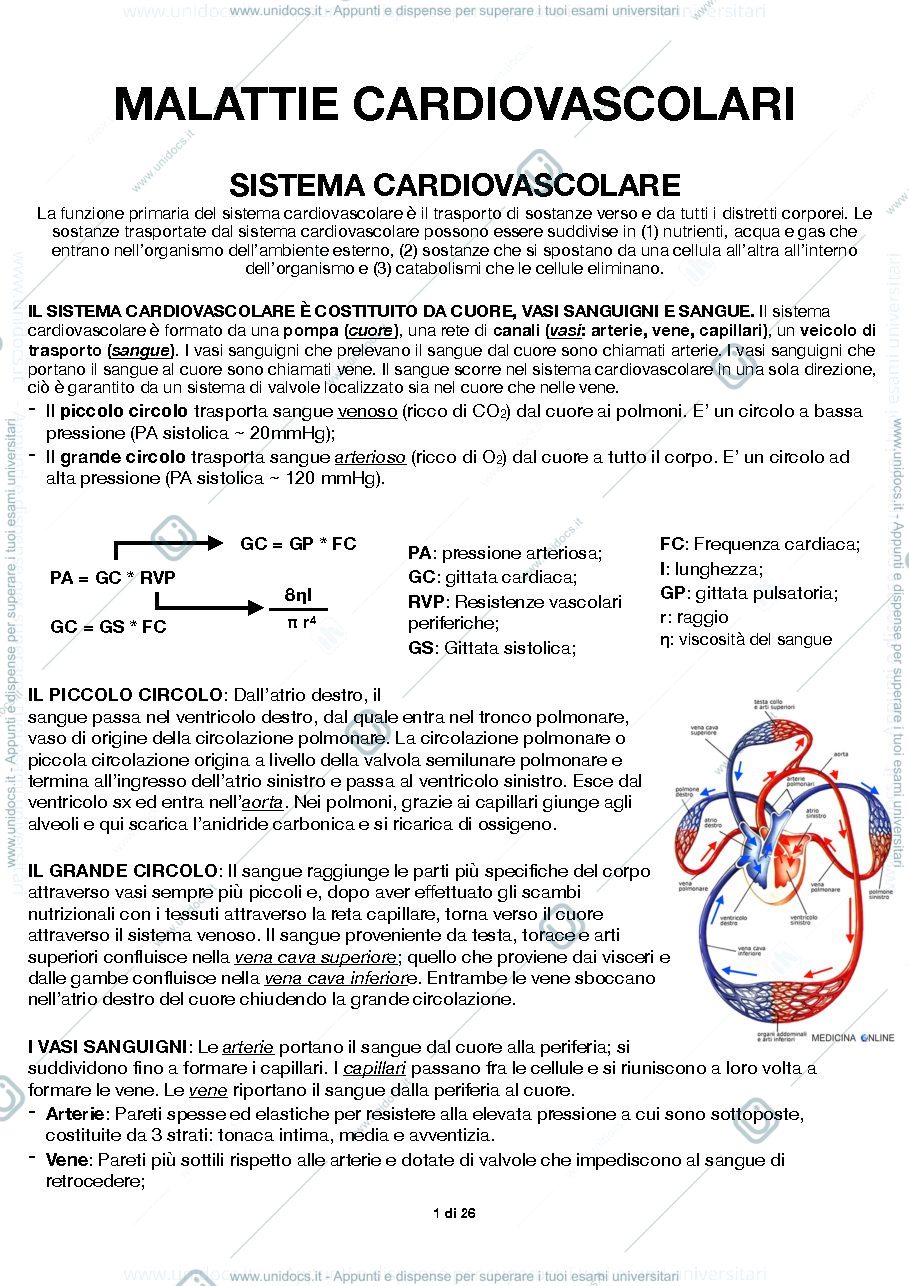 Anteprima pagina 1 — Cardiologia