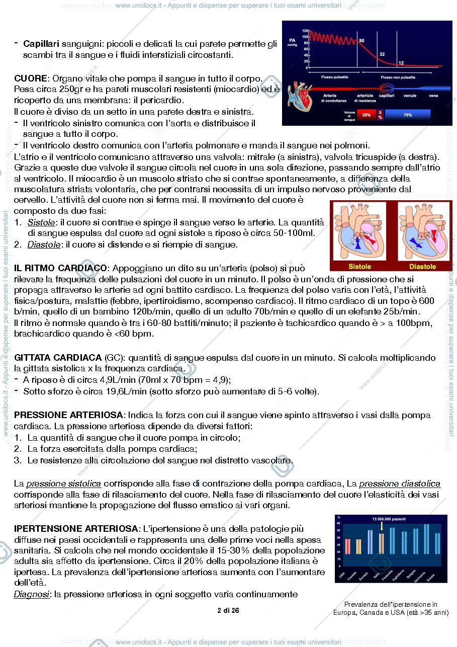 Anteprima pagina 2 — Cardiologia