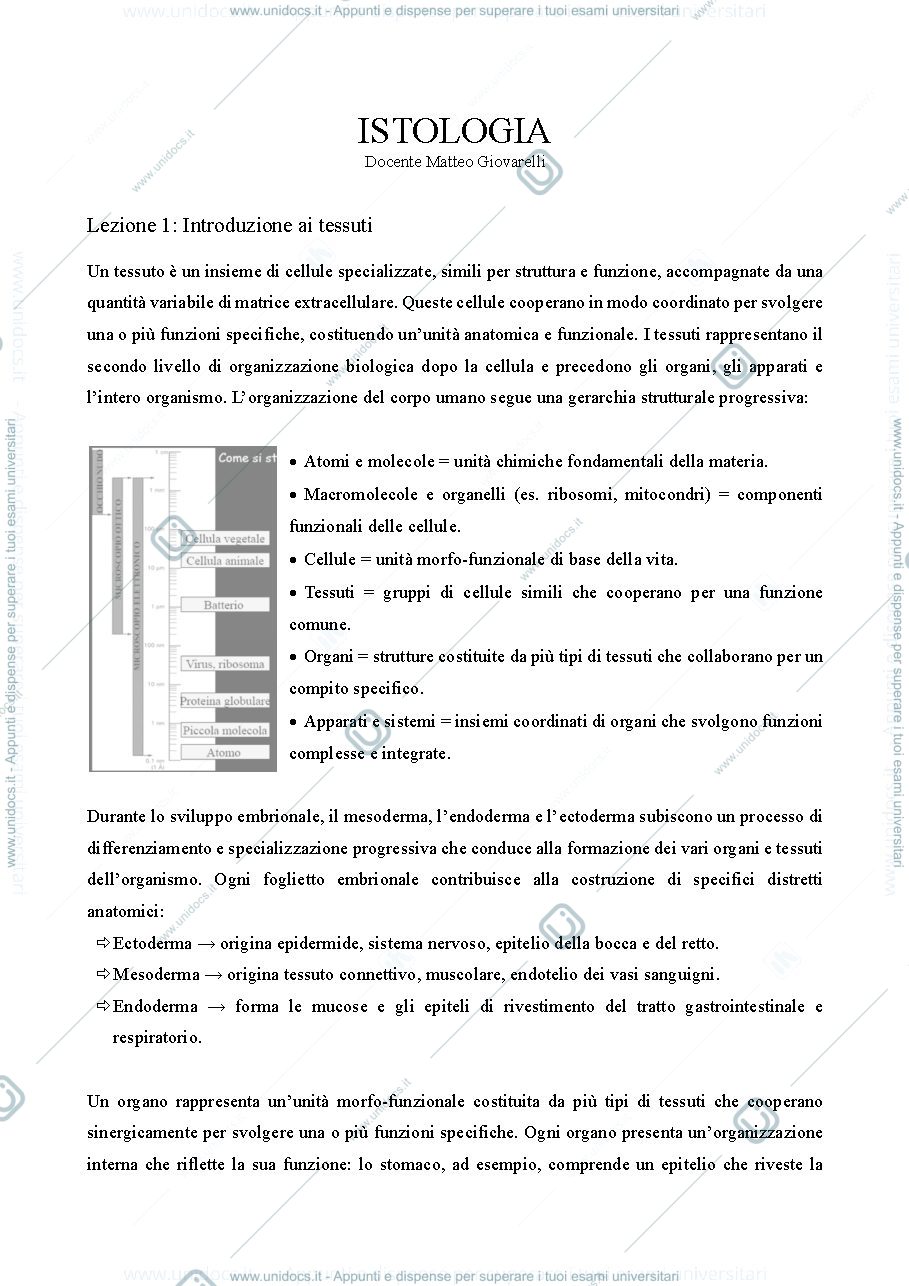 Anteprima pagina 1 — Istologia dispensa