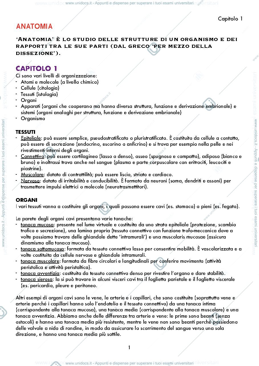 Anteprima pagina 1 — ANATOMIA, appunti base