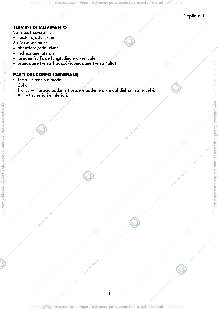 Anteprima pagina 3 — ANATOMIA, appunti base