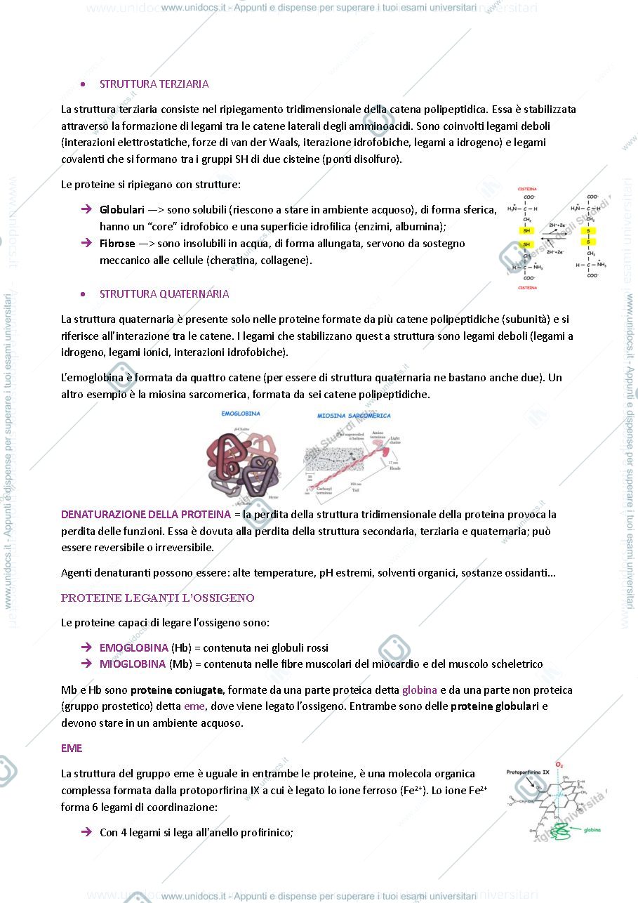 Anteprima pagina 2 — BIOCHIMICA 