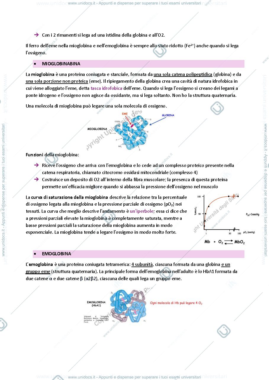 Anteprima pagina 3 — BIOCHIMICA 