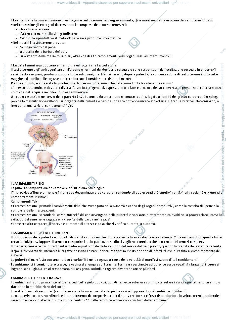 Anteprima pagina 2 — L'adolescenza
