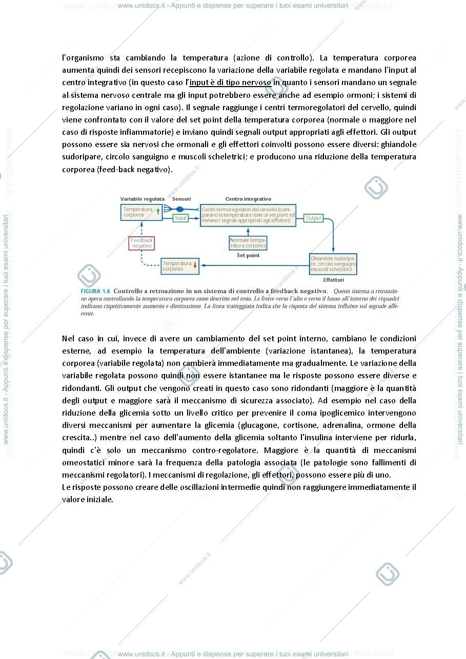 Anteprima pagina 3 — Fisiologia