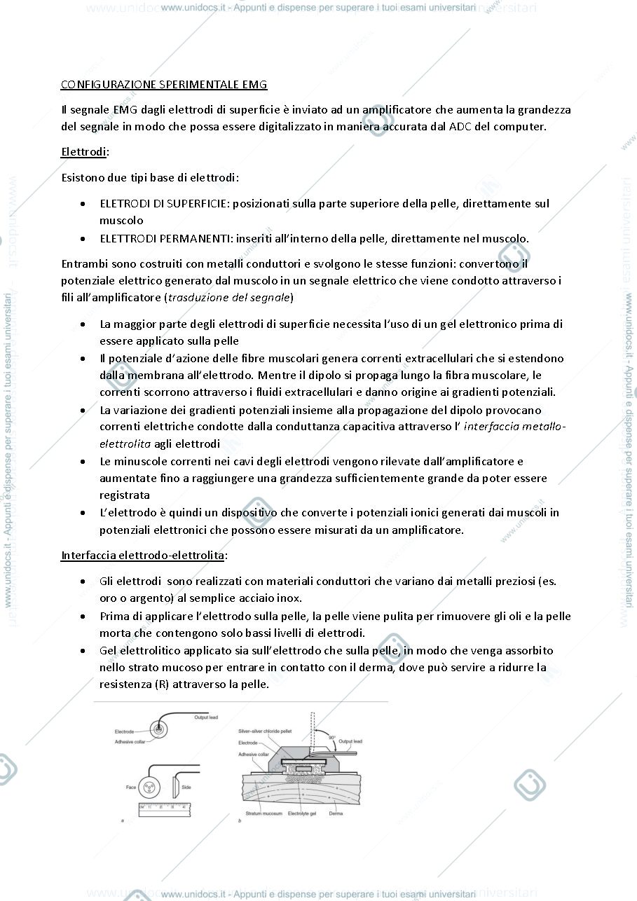 Anteprima pagina 1 — Elettromiogramma