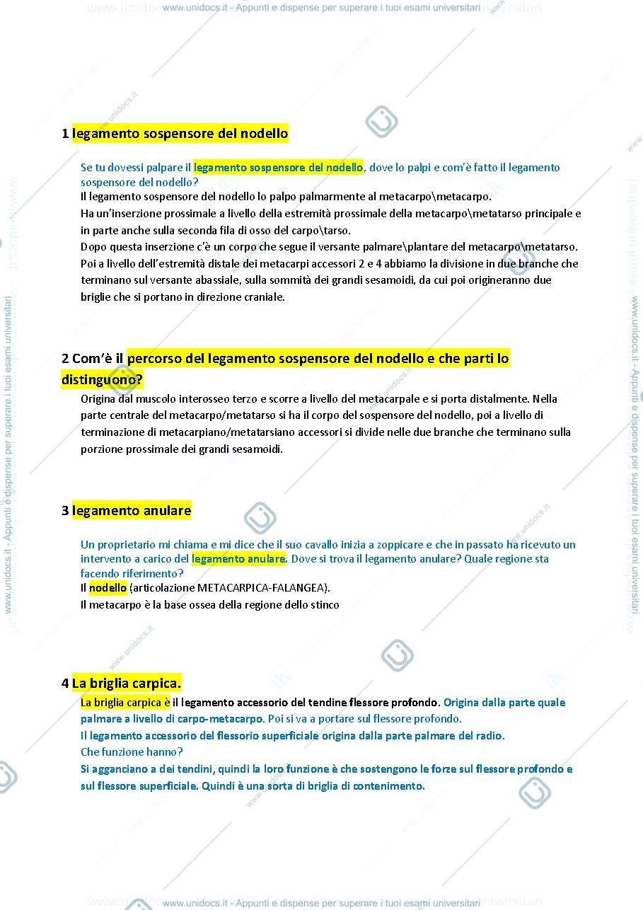 Anteprima pagina 2 — semiotica e patologia chirurgica animali da reddito domande di anatomia fatte all'esame