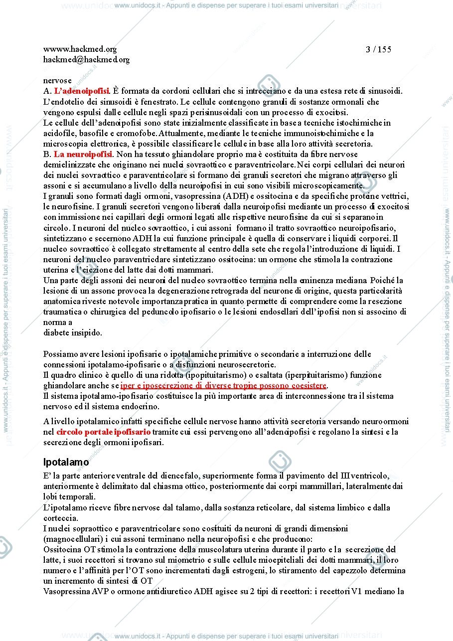 Anteprima pagina 2 — Endocrinologia 