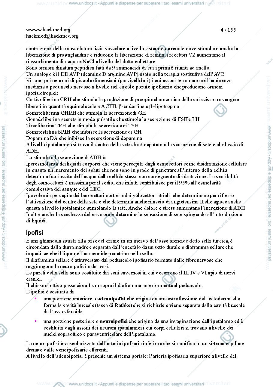 Anteprima pagina 3 — Endocrinologia 