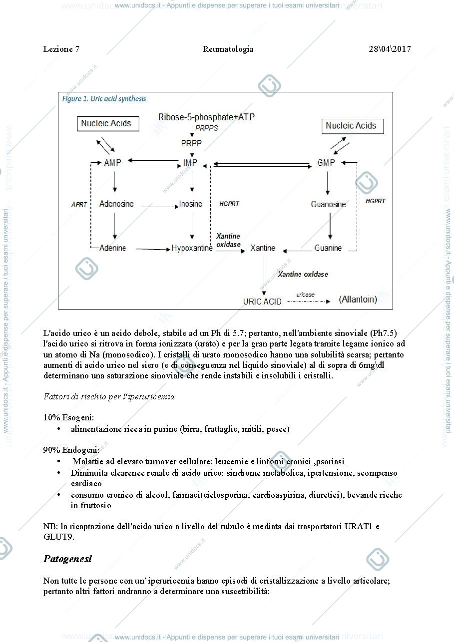 Anteprima pagina 2 — Reumatologia