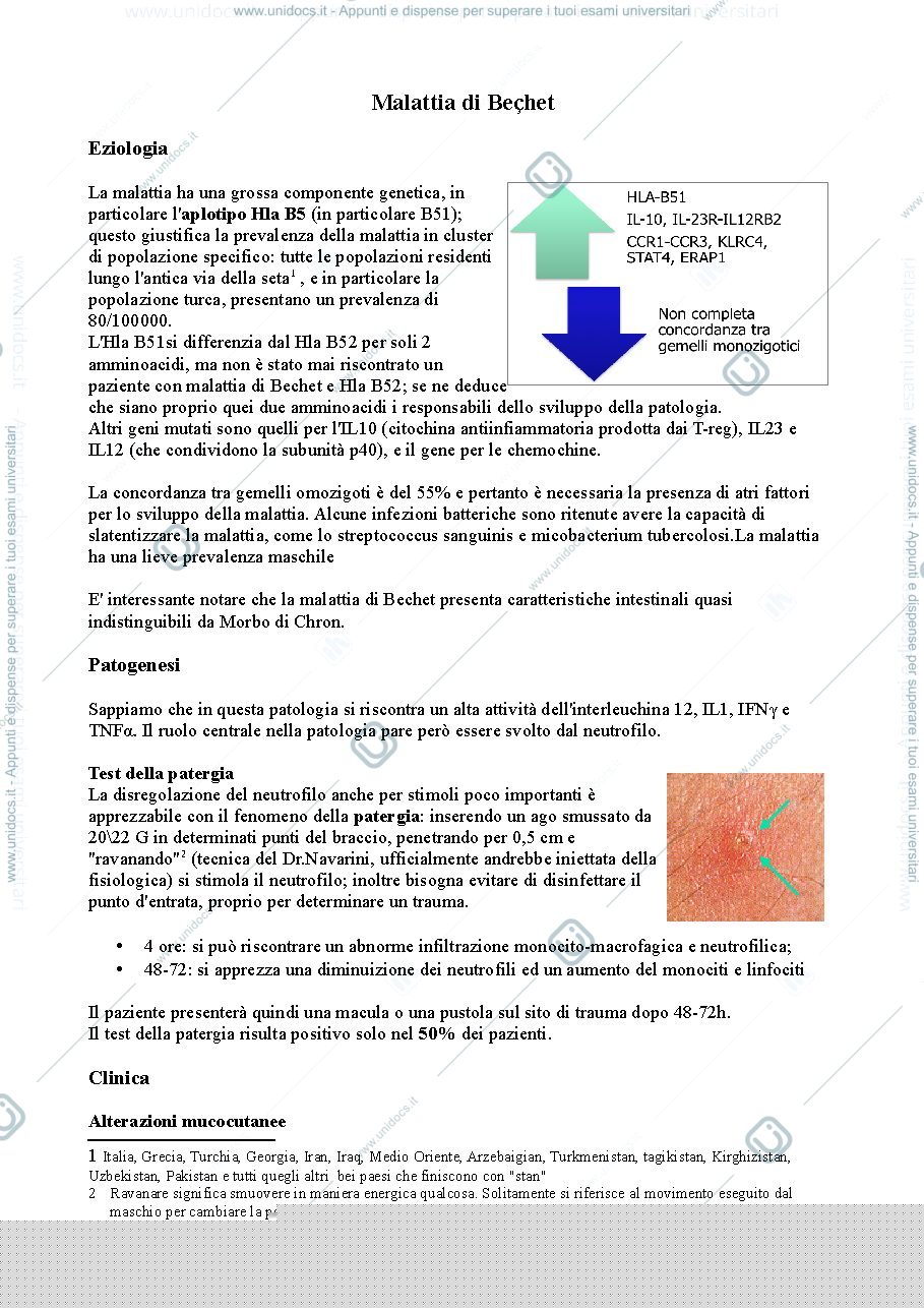 Anteprima pagina 1 — Reumatologia
