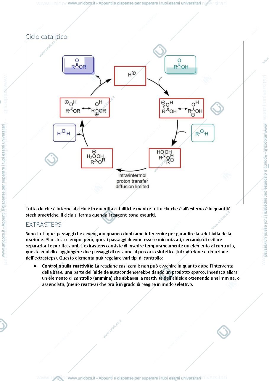 Anteprima pagina 4 — Sbobinature registrazione prof 
