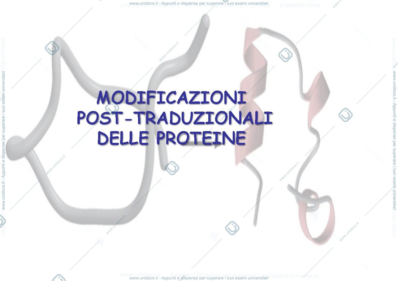 Anteprima pagina 1 — Modificazioni posttraduzionali