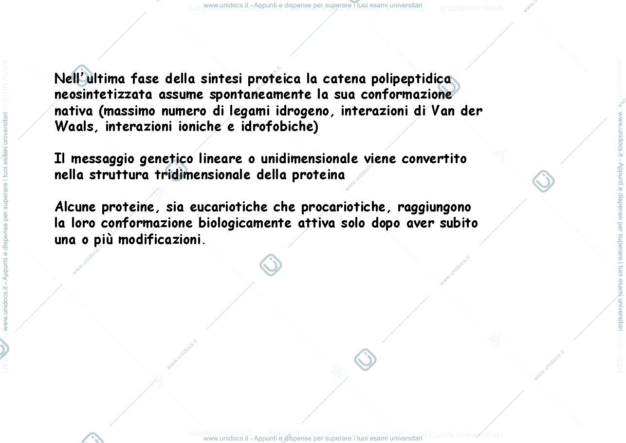 Anteprima pagina 2 — Modificazioni posttraduzionali