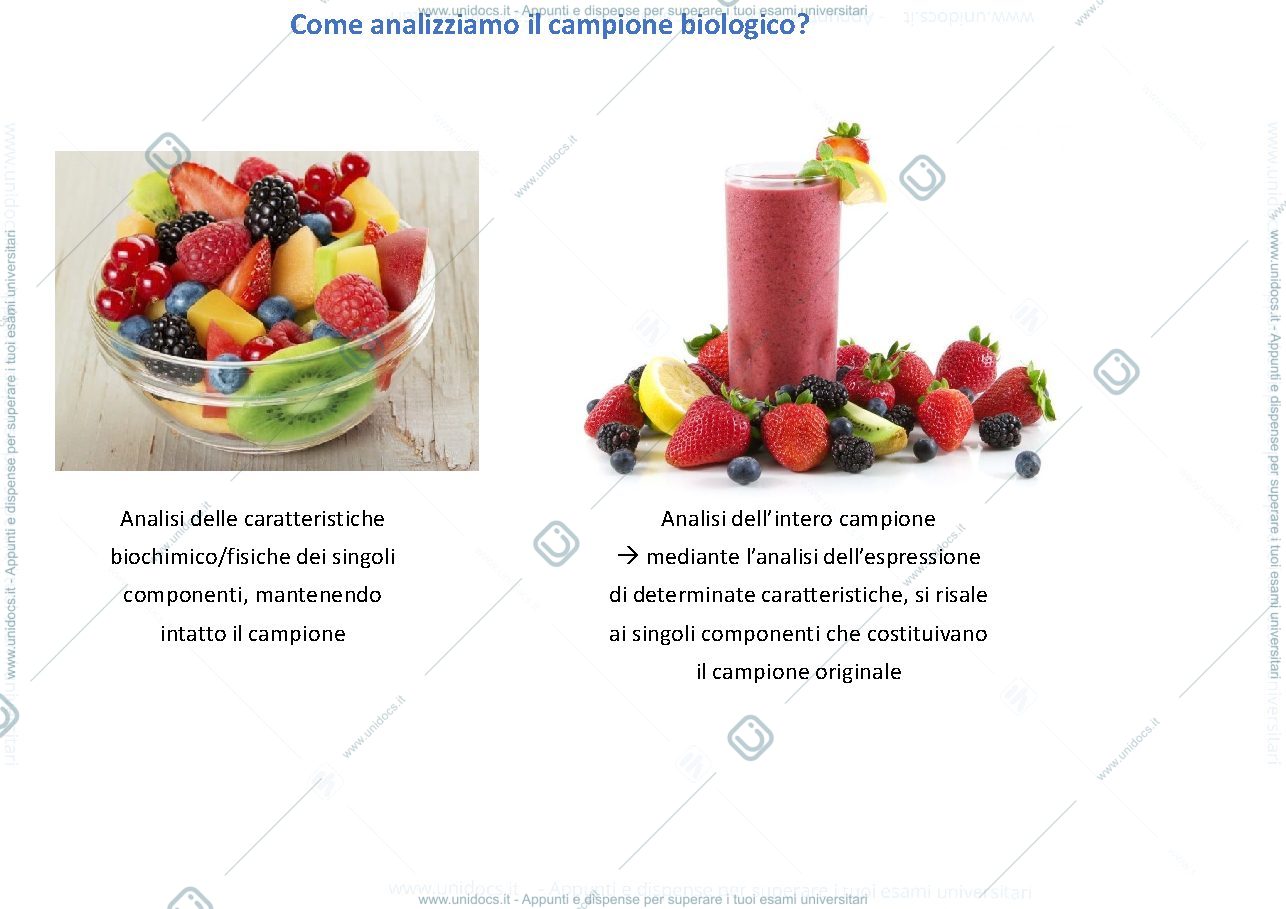 Anteprima pagina 2 — Citofluorimetria