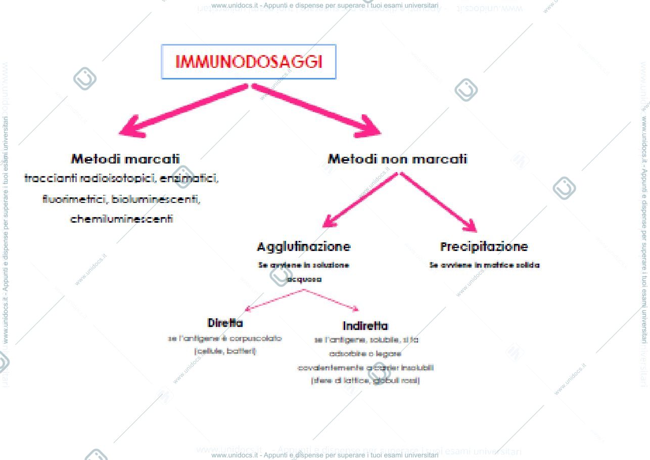 Anteprima pagina 2 — tecniche immunochimiche