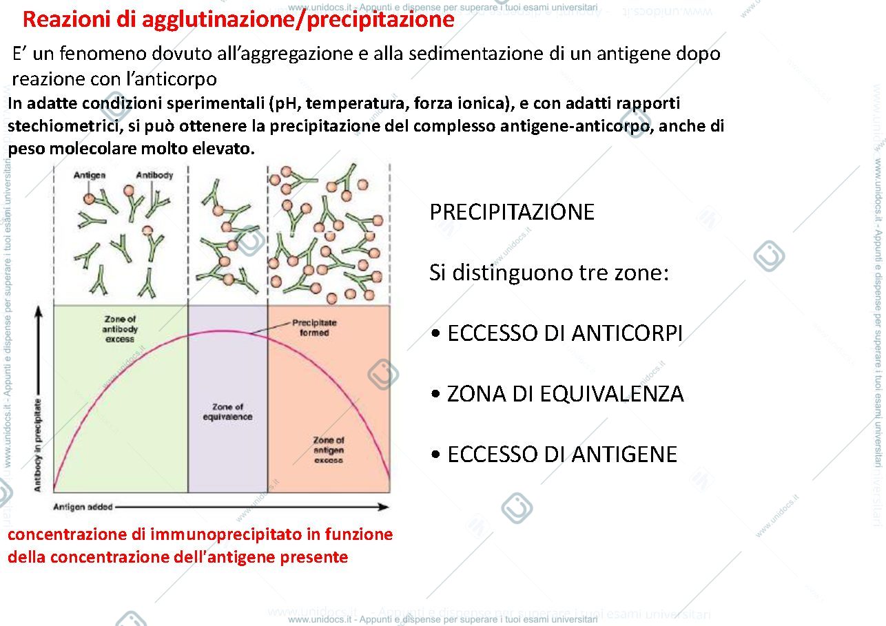 Anteprima pagina 3 — tecniche immunochimiche