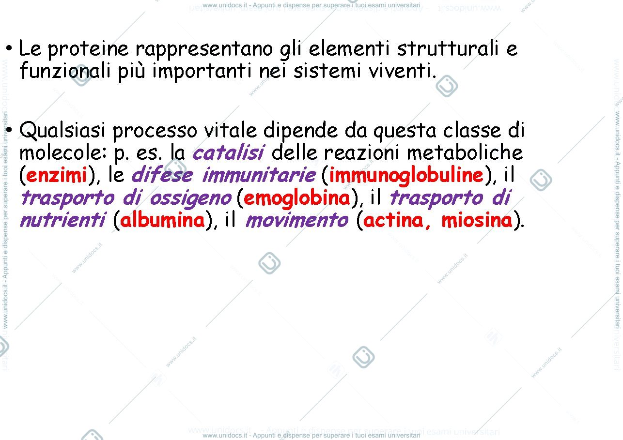 Anteprima pagina 2 — le proteine
