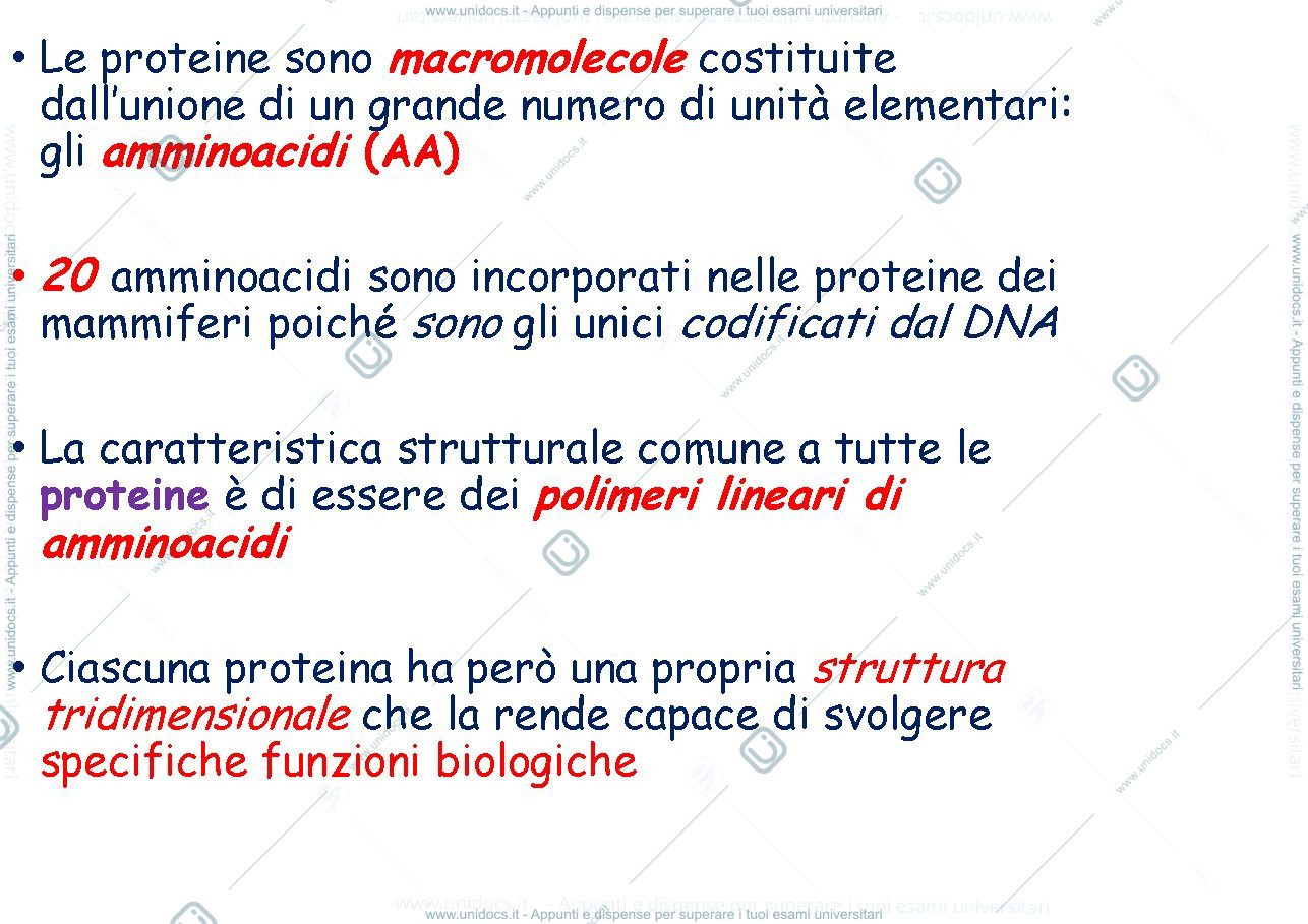 Anteprima pagina 3 — le proteine