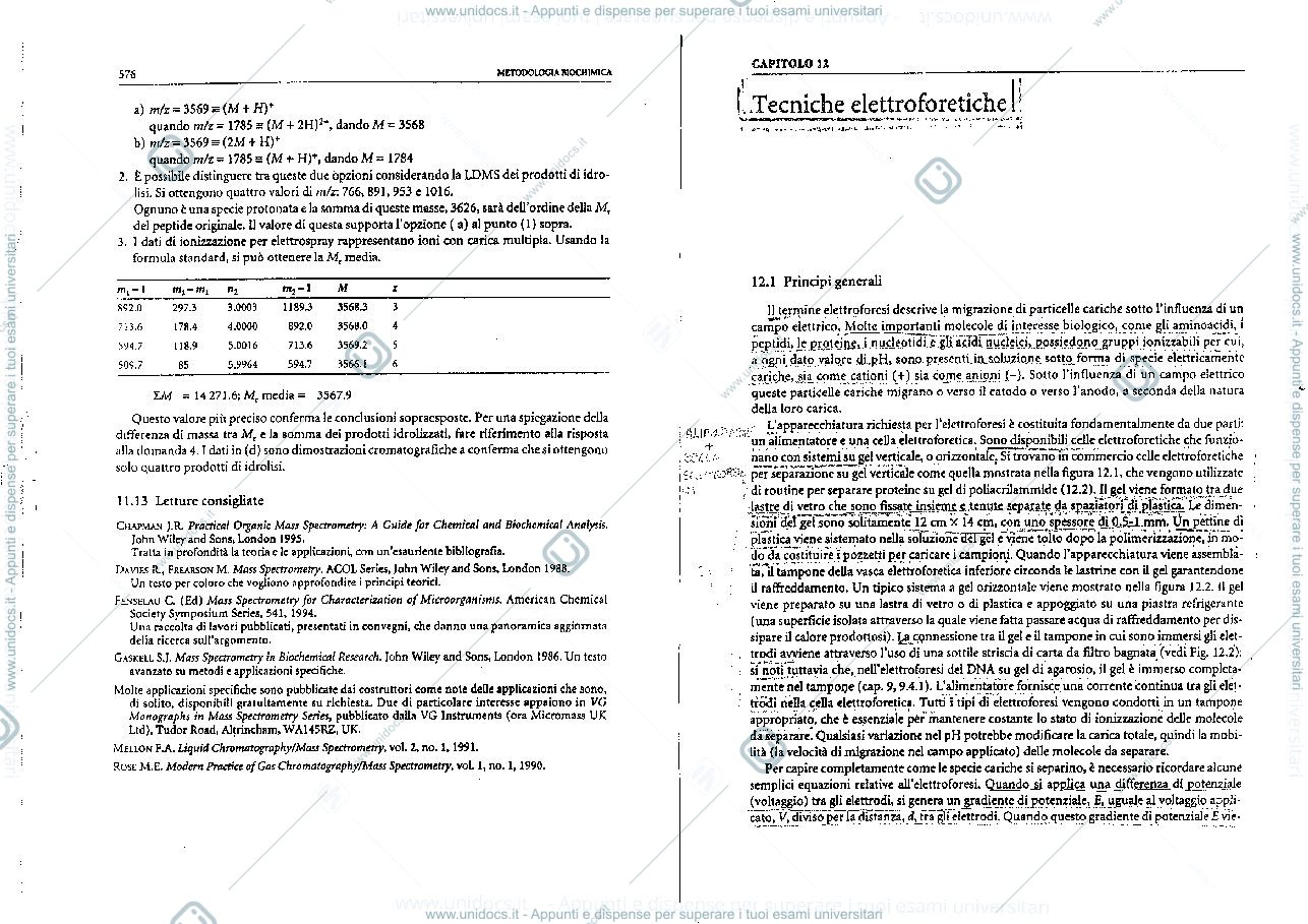 Anteprima pagina 1 — elettroforesi