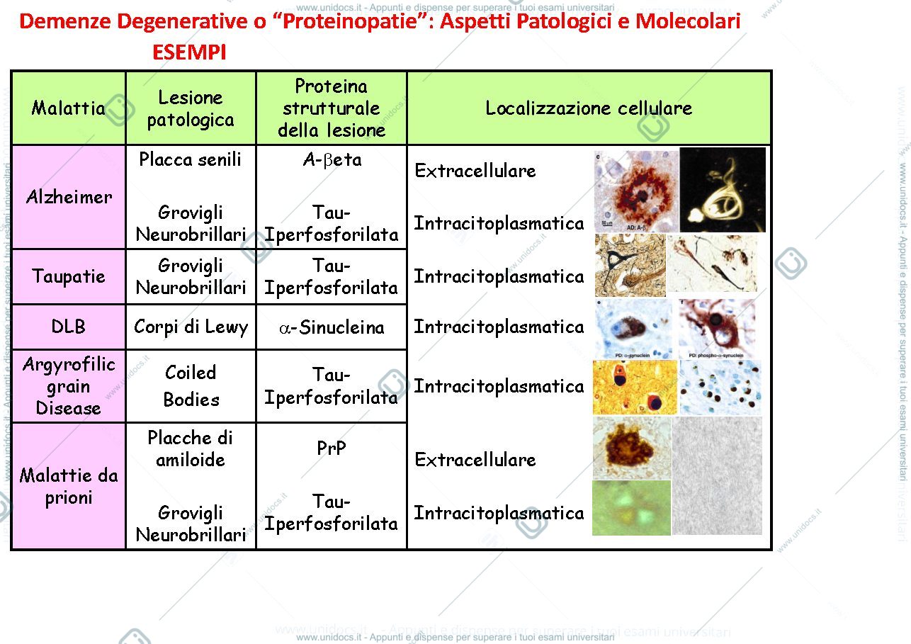 Anteprima pagina 3 — diagnostica molecolare