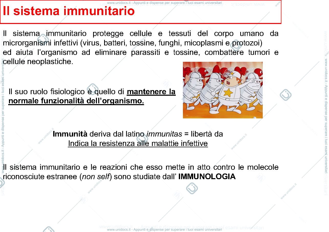 Anteprima pagina 2 — anticorpi
