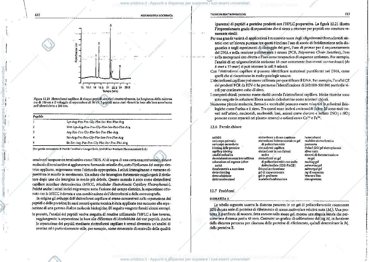 Anteprima pagina 1 — cromatografia