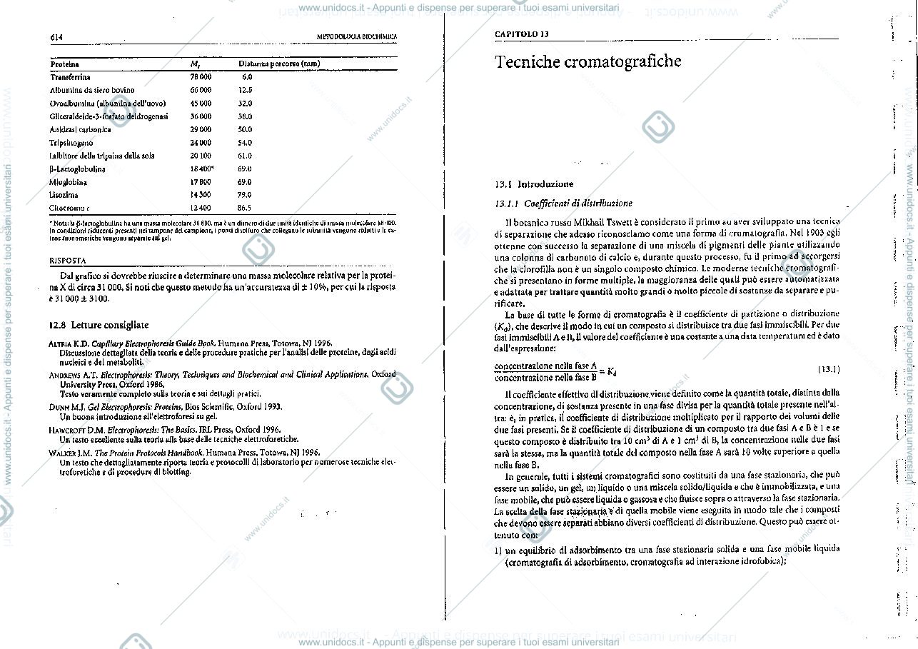 Anteprima pagina 2 — cromatografia