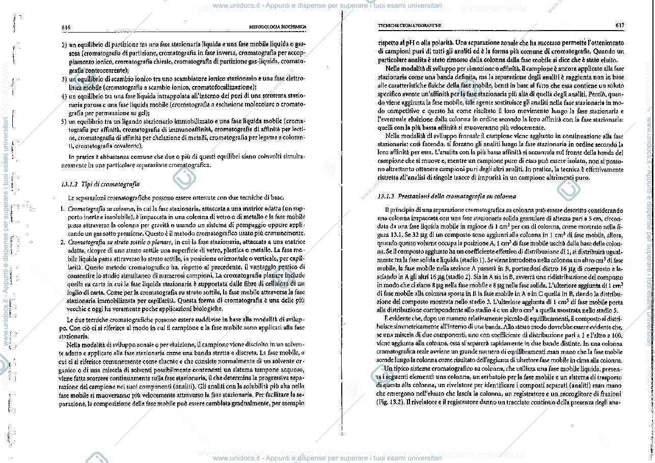 Anteprima pagina 3 — cromatografia