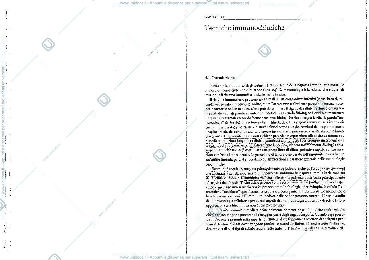 Anteprima pagina 1 — immunochimica
