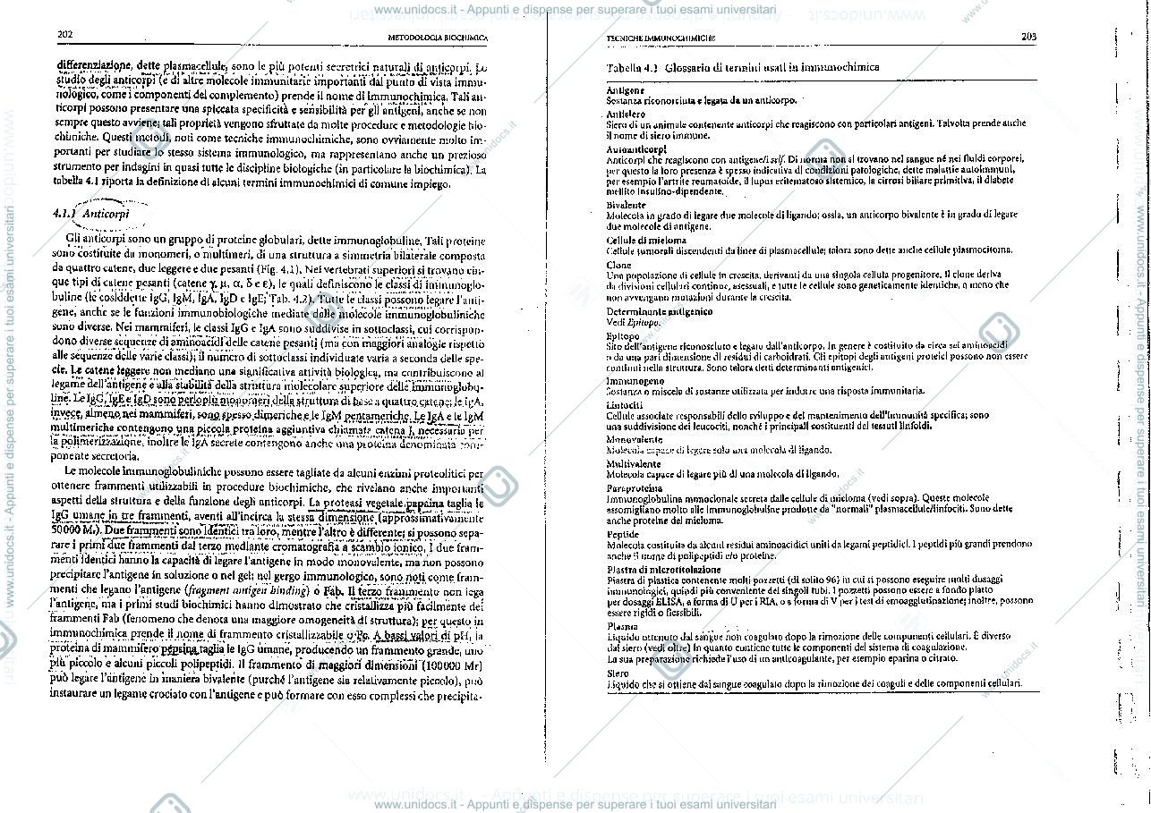 Anteprima pagina 2 — immunochimica