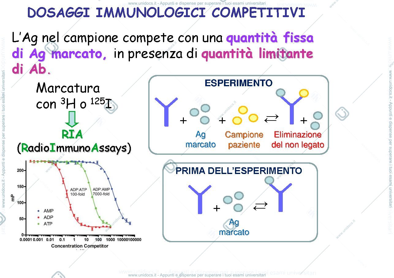 Anteprima pagina 2 — tecnica ELISA