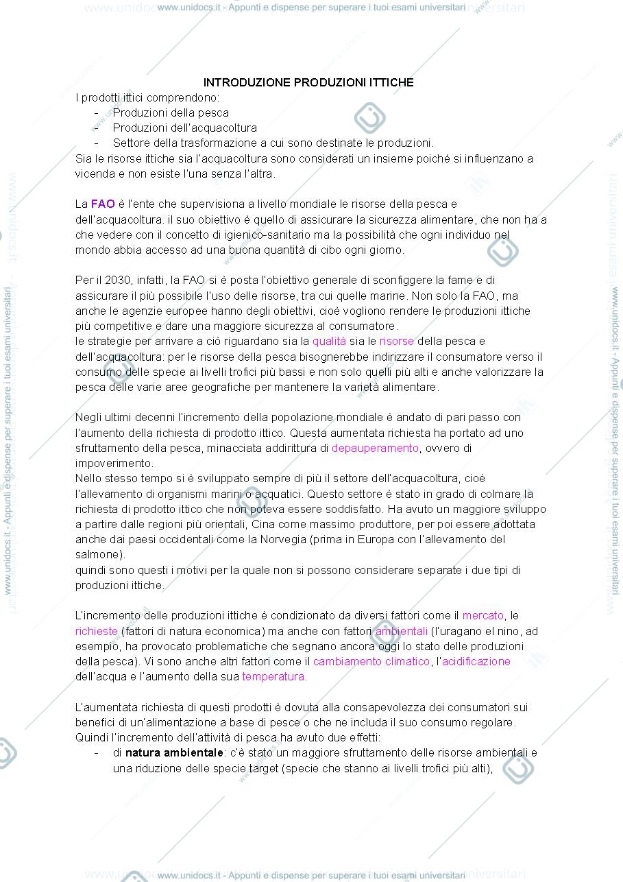 Anteprima pagina 1 — ittiche 