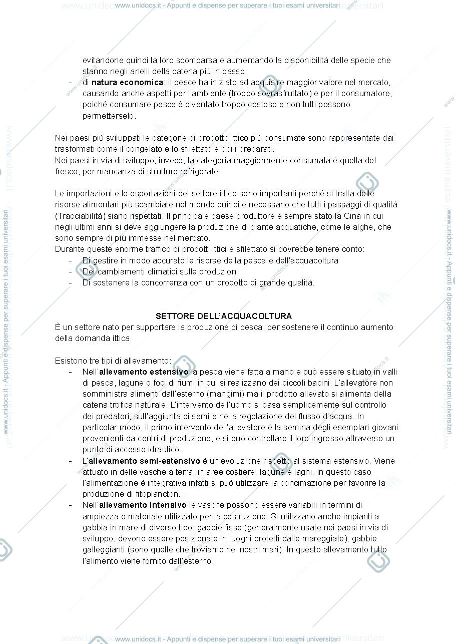 Anteprima pagina 2 — ittiche 