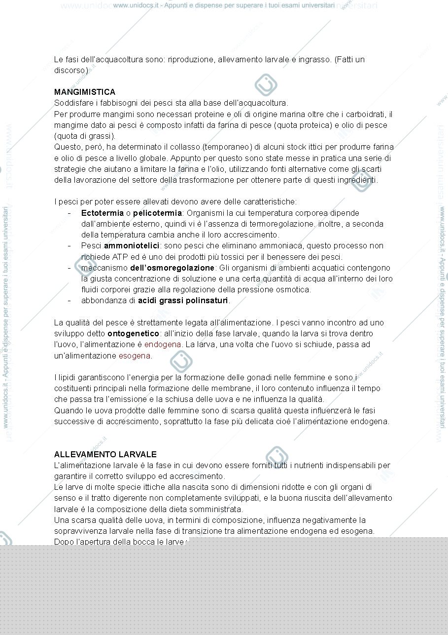 Anteprima pagina 3 — ittiche 