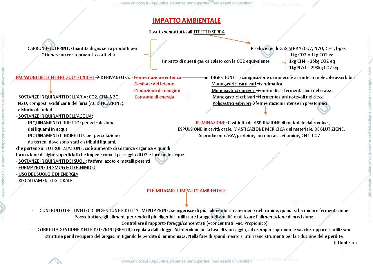 Anteprima pagina 1 — Impatto Ambientale