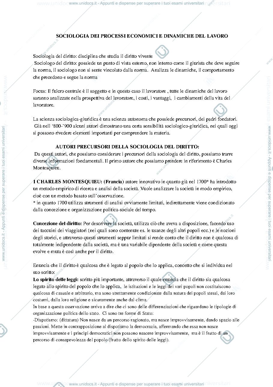 Anteprima pagina 1 — Appunti autori sociologia dei processi economici e dinamiche del lavoro 