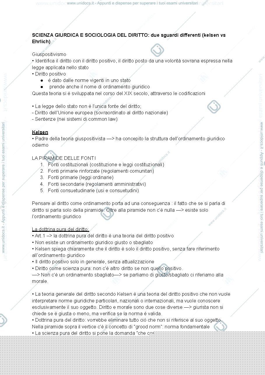 Anteprima pagina 1 — appunti su kelsen vs erlich 