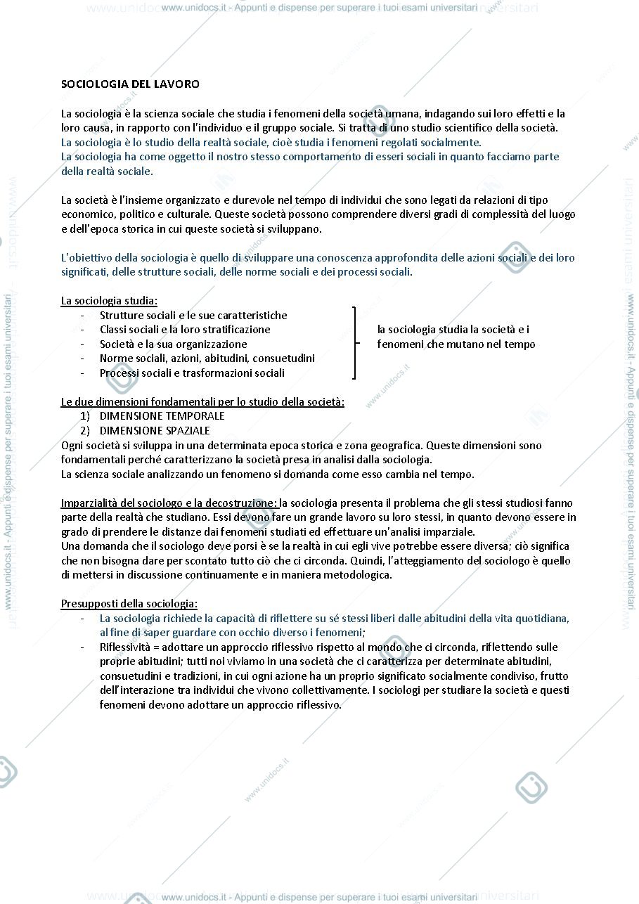 Anteprima pagina 1 — Sociologia del lavoro