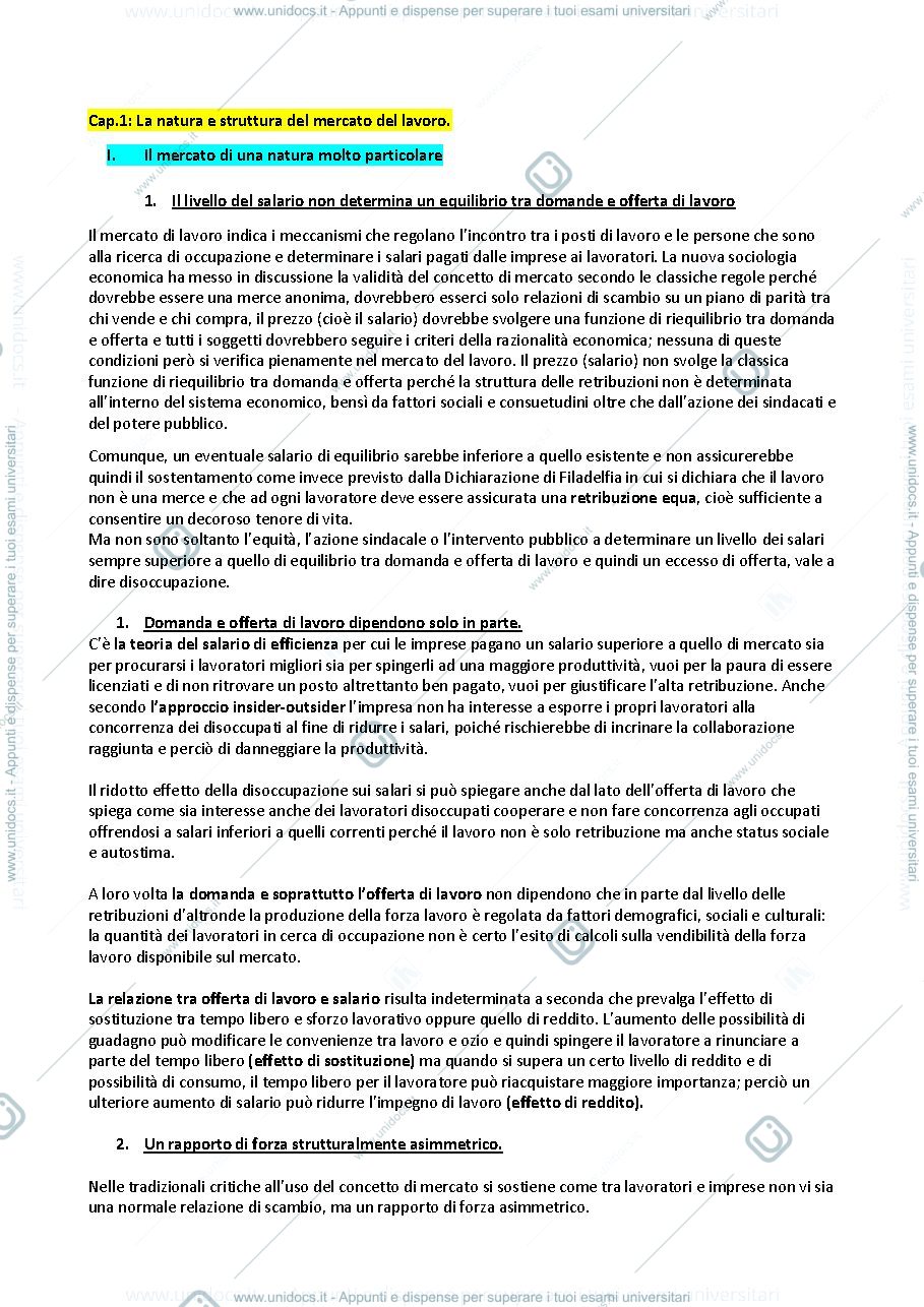 Anteprima pagina 1 — sociologia del mercato del lavoro