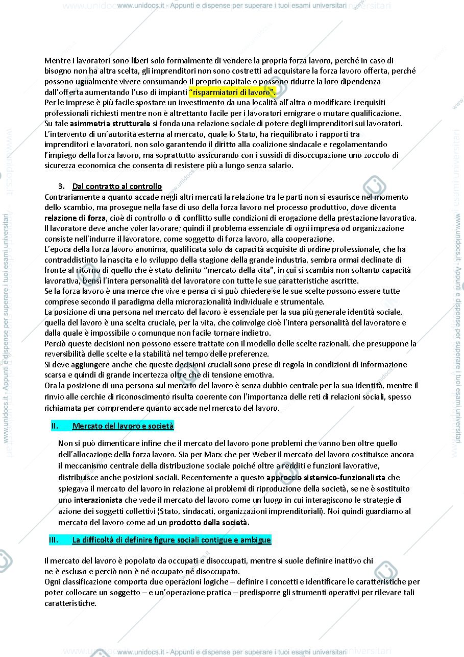 Anteprima pagina 2 — sociologia del mercato del lavoro