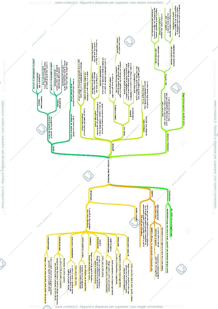 Anteprima pagina 2 — Schemi sociologia delle pratiche culturali 