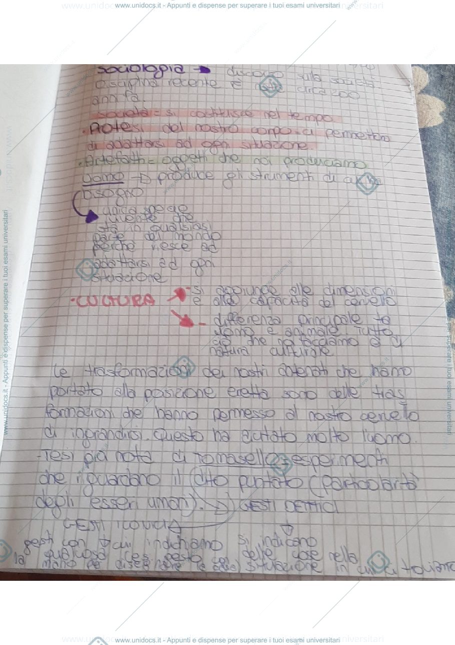 Anteprima pagina 1 — Sociologia definizione e concetti generali