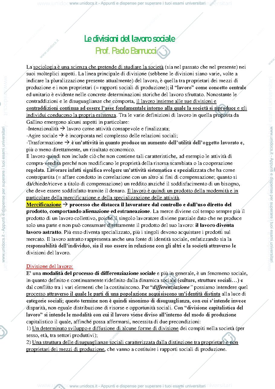 Anteprima pagina 1 — Riassunto del libro "Le divisioni del lavoro sociale"