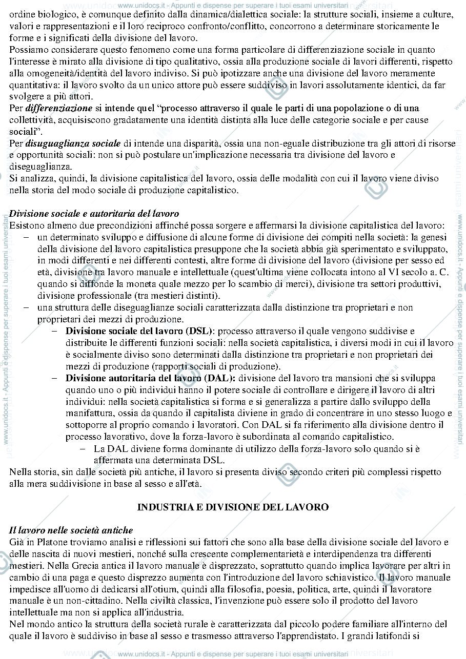 Anteprima pagina 2 — Riassunto "Le divisioni del lavoro sociale".