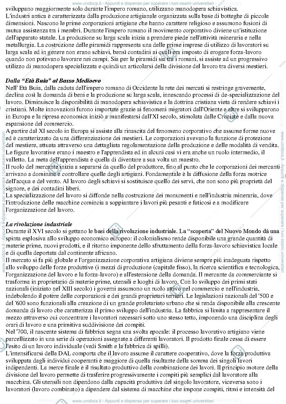 Anteprima pagina 3 — Riassunto "Le divisioni del lavoro sociale".