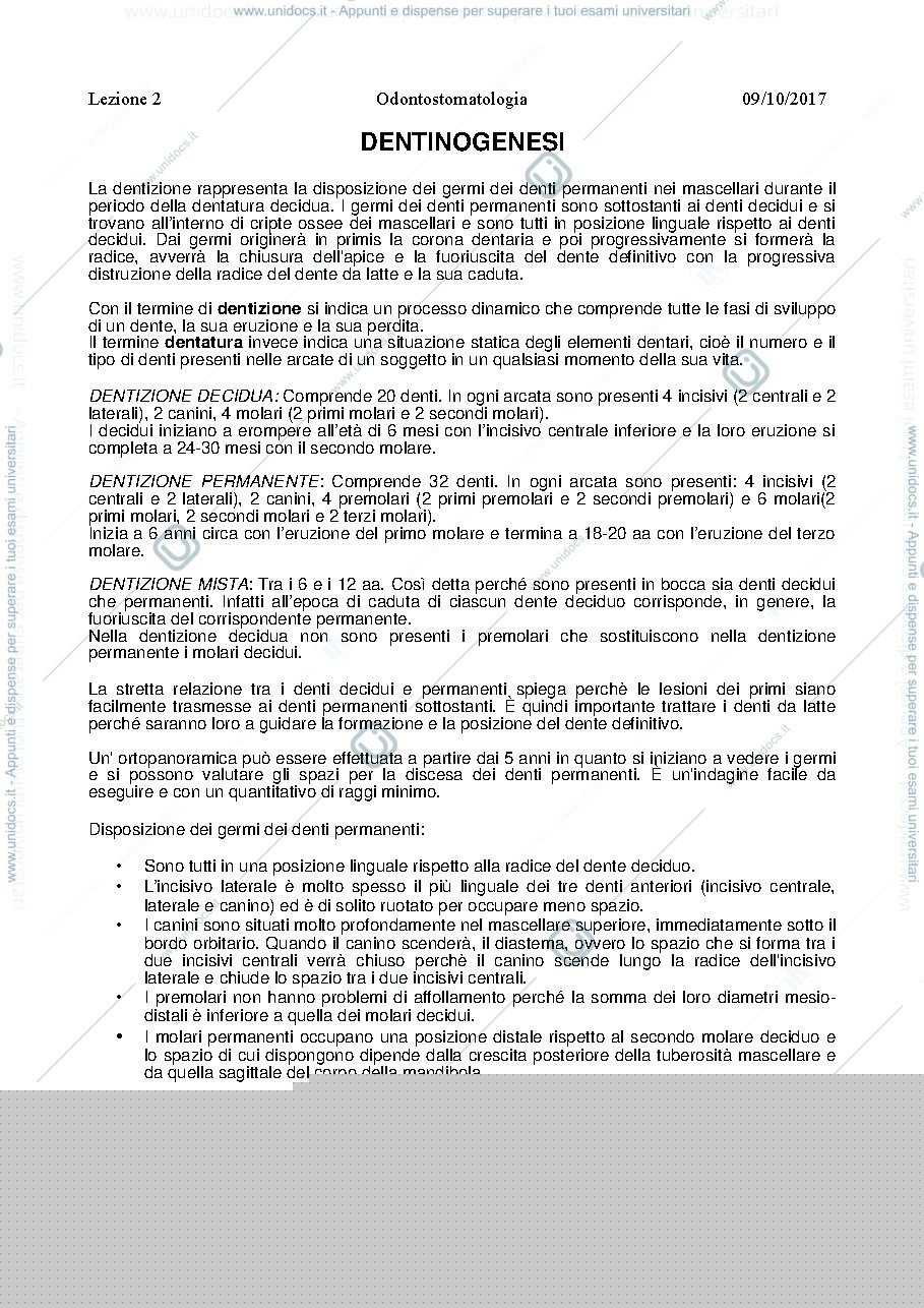 Anteprima pagina 1 — dentinogenesi